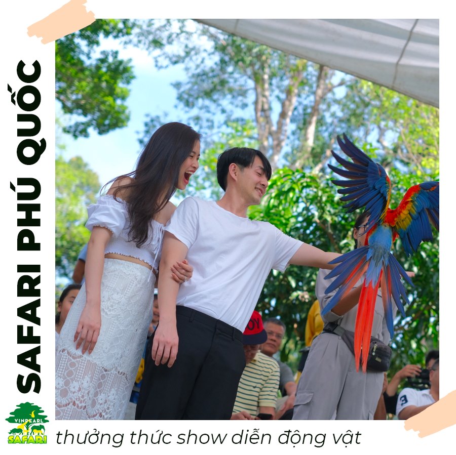 show biểu diễn với các động vật Safari Phú Quốc