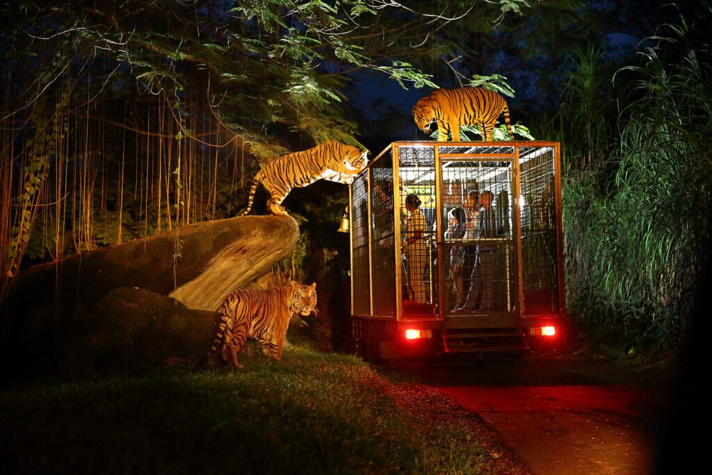 Vườn thú đêm Night Safari