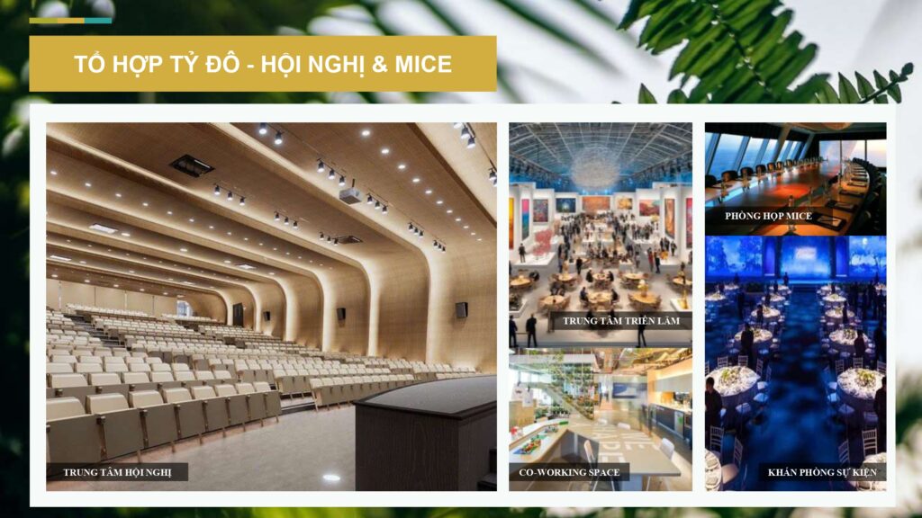 Hội nghị và Mice (Hồ Tràm)