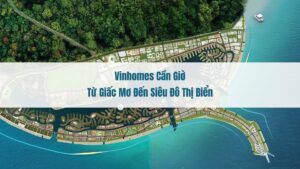 Từ giấc mơ đến siêu đô thị biển