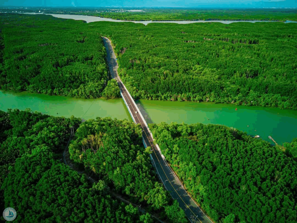 Xu hướng đầu tư sinh thái Cần Giờ