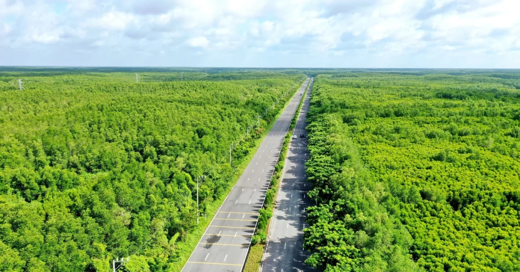 Cần Giờ hệ sinh thái xanh