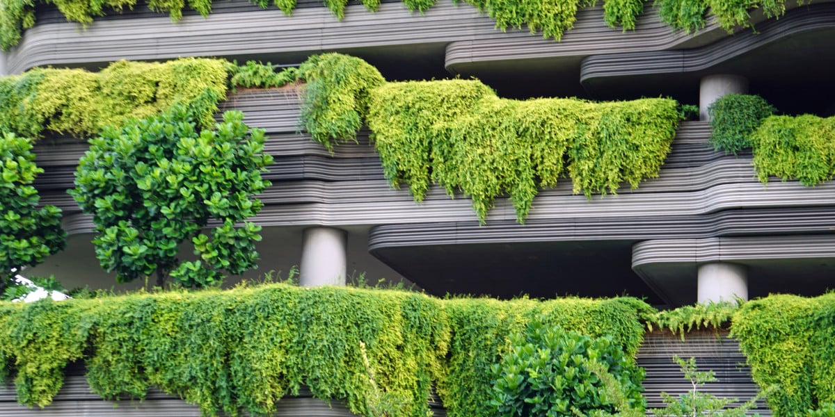 Các tiêu chuẩn sống bền vững tập trung vào việc tạo ra môi trường sống trong lành