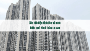 Căn hộ diện tích lớn và nhỏ hiệu quả khai thác ra sao