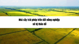 Nhà xây trái phép trên đất nông nghiệp sẽ bị tháo dỡ