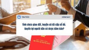 Tỉnh chưa giao đất, huyện cũ đã cấp sổ đỏ. Quyền lợi người dân có được đảm bảo