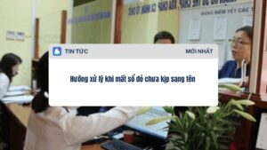 Hướng xử lý khi mất sổ đỏ chưa kịp sang tên