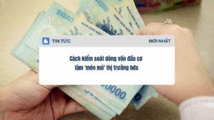 Cách kiểm soát dòng vốn đầu cơ làm 'méo mó' thị trường bđs