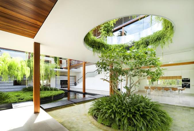 Modern Tropical – Mang thiên nhiên vào không gian sống
